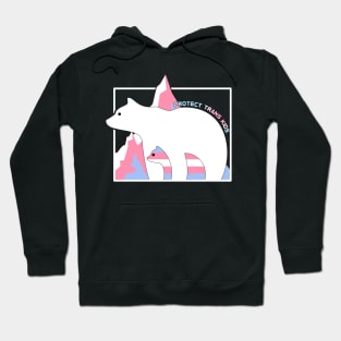 Protect Trans Kids Hoodie